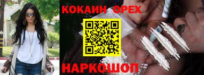 гашик Кунгур