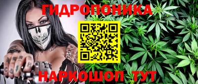 гашик Кунгур