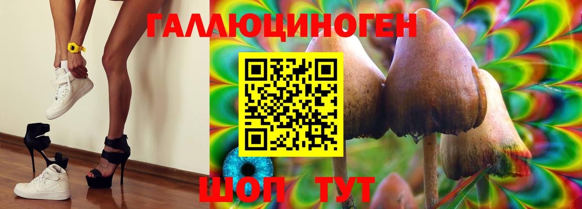 Кимры  Псилоцибиновые грибы ЛСД  Вход с VPN 